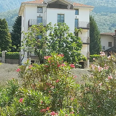Appartamento Ape Bianca - Mimosa